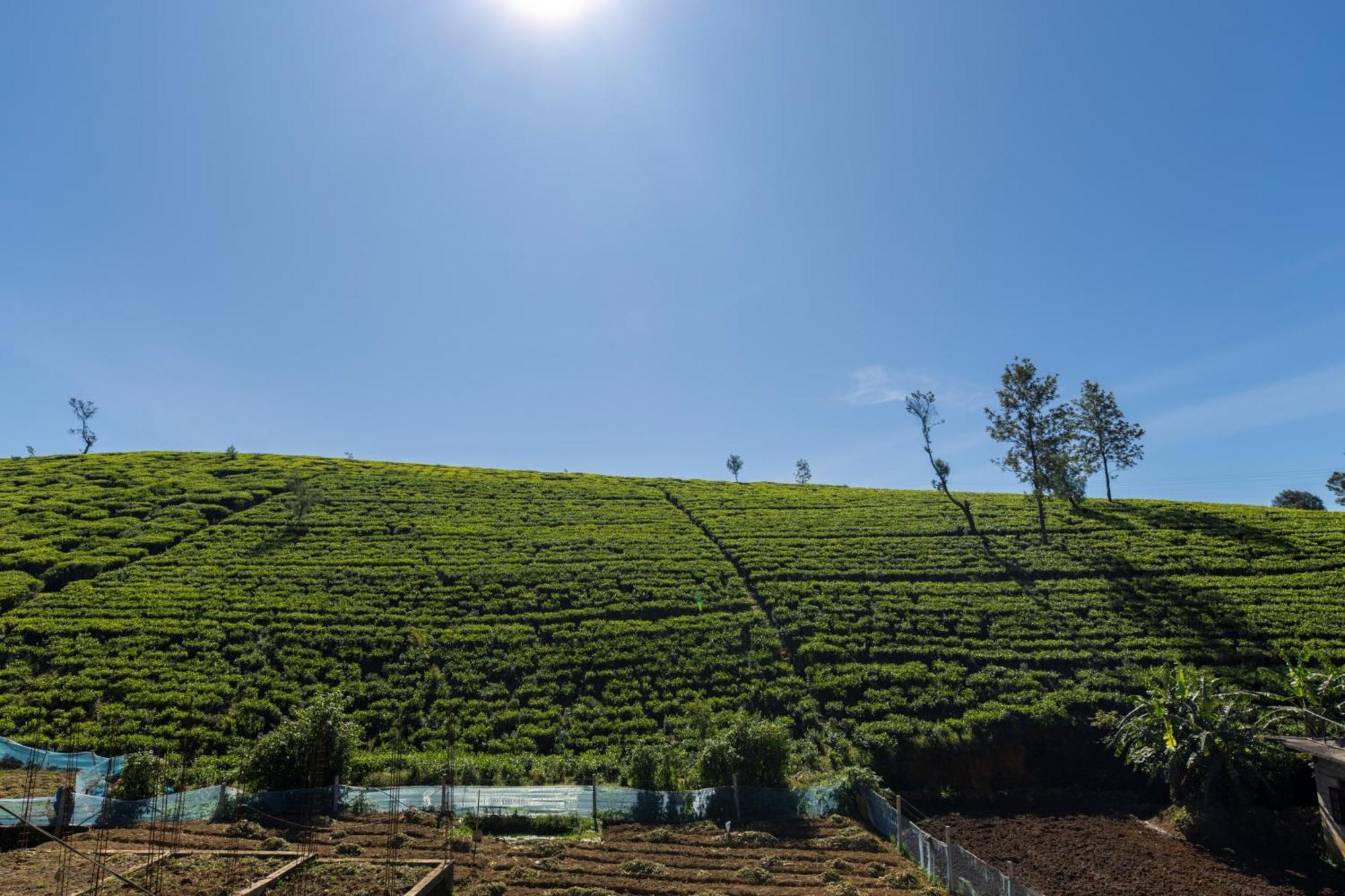 Palazzo Lake Gregory Nuwara Eliya Extérieur photo